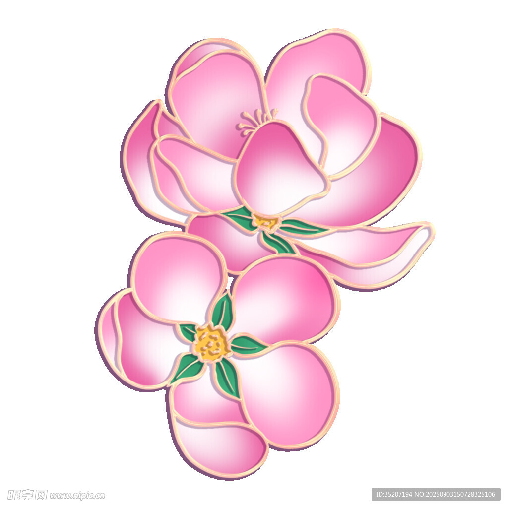 粉色玉兰花精美图案