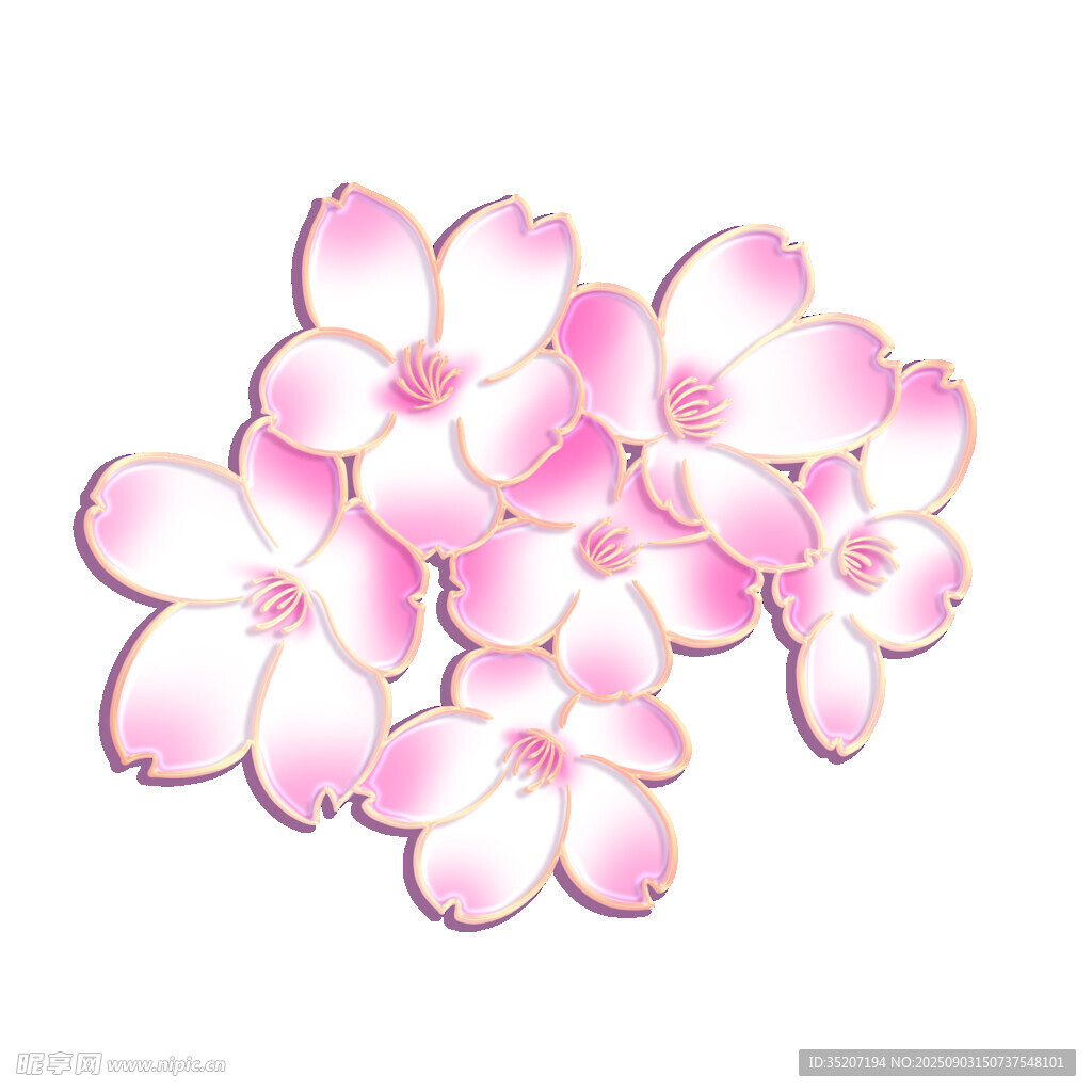 粉色精美花朵图案设计