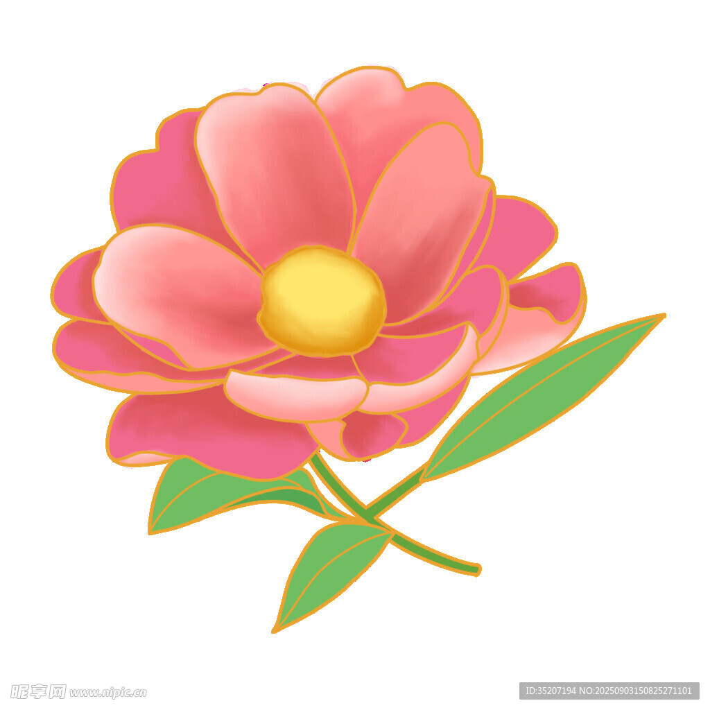 粉色花朵插画