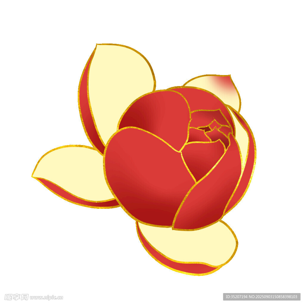 绽放的红色花朵插画