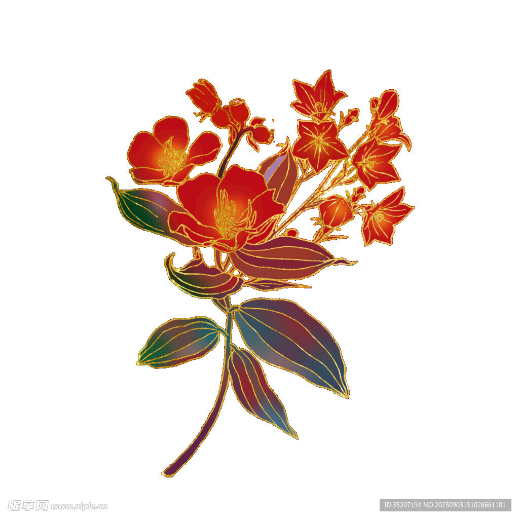鲜艳花卉插画 