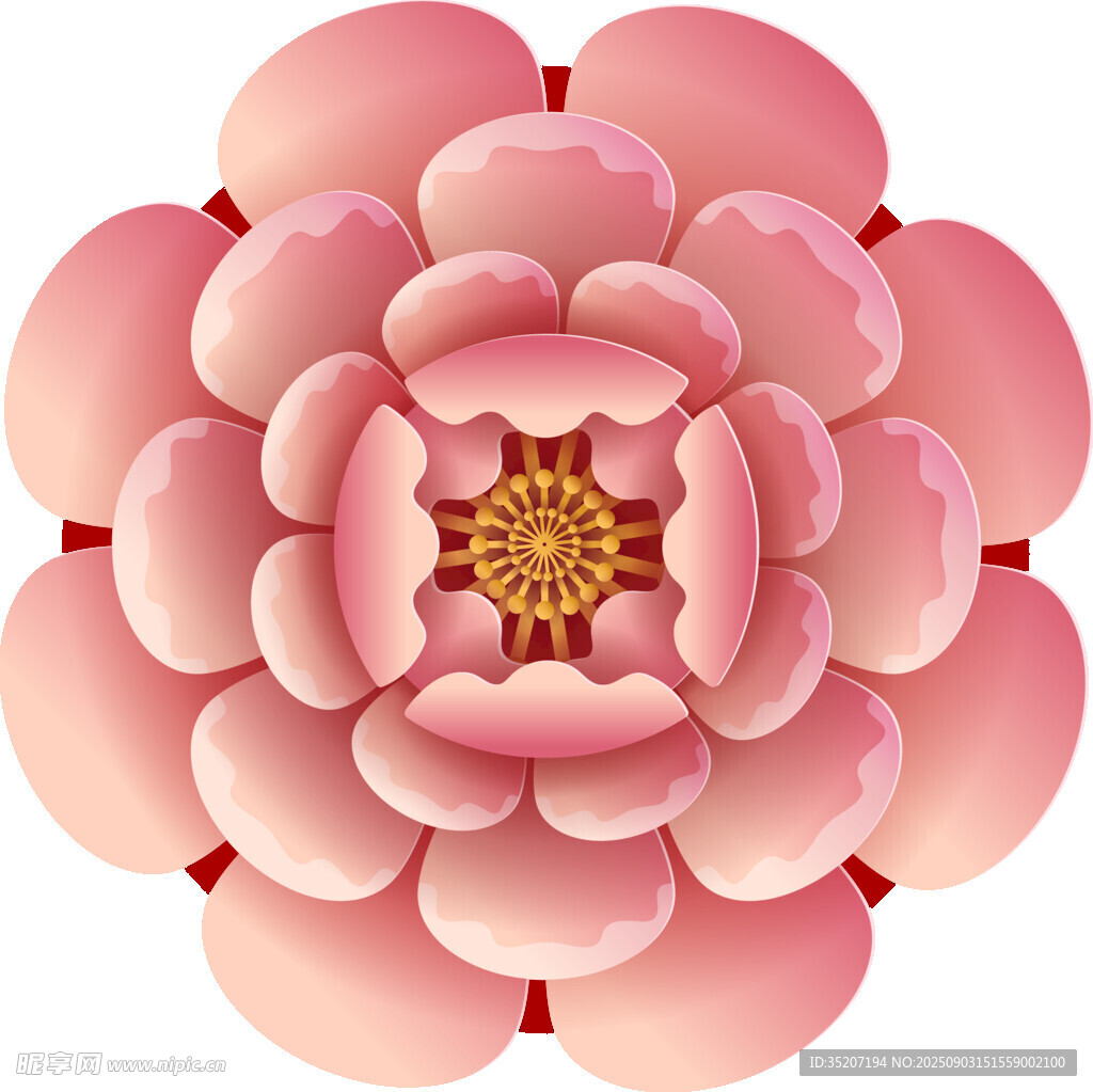 粉色唯美花朵图案