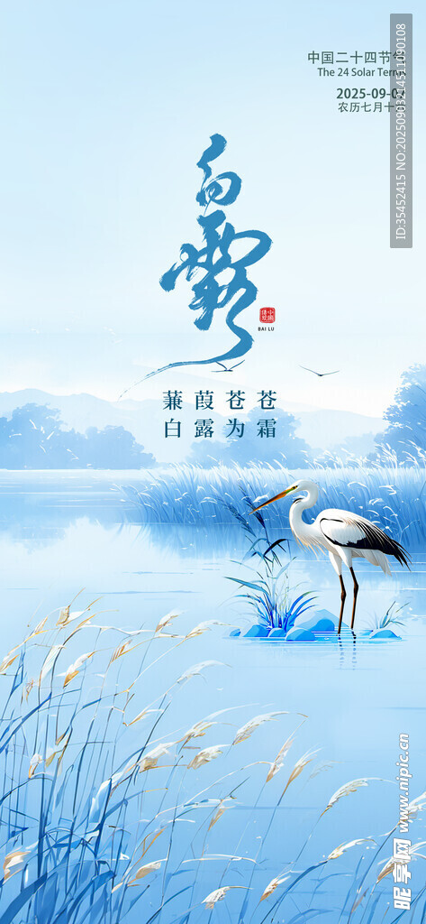 白露