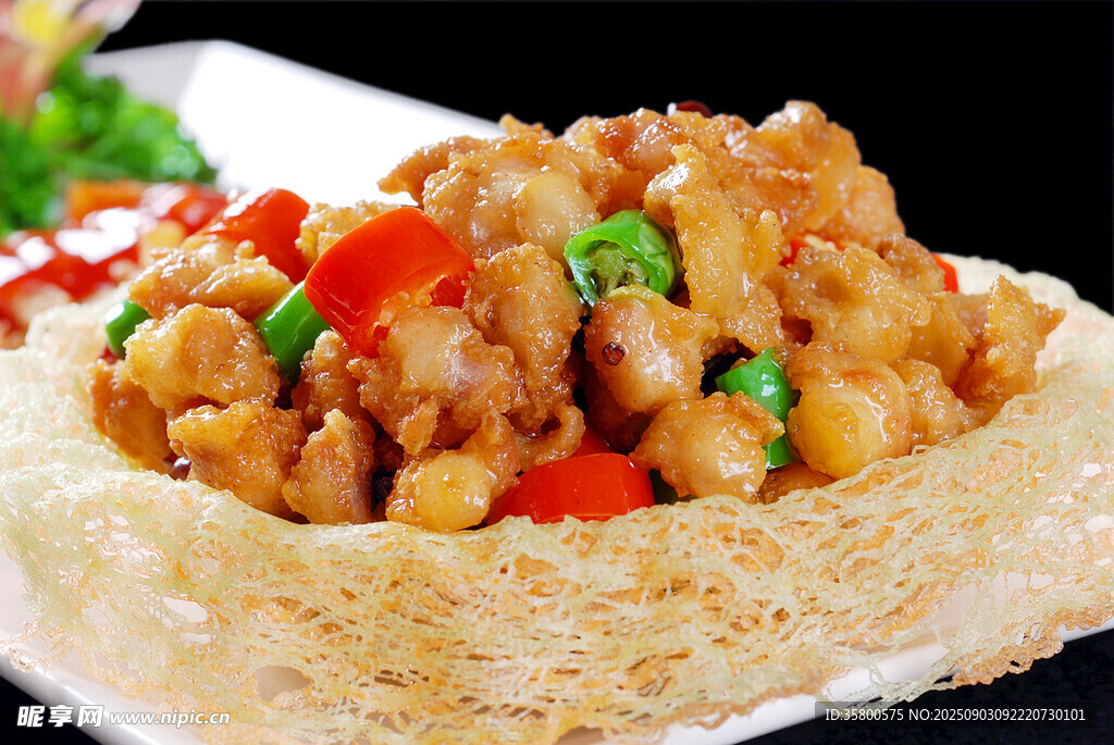 美味鸡肉卷饼