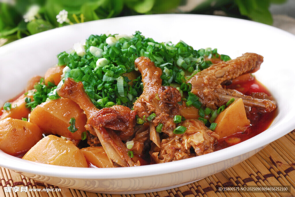 美味土豆炖鸡块