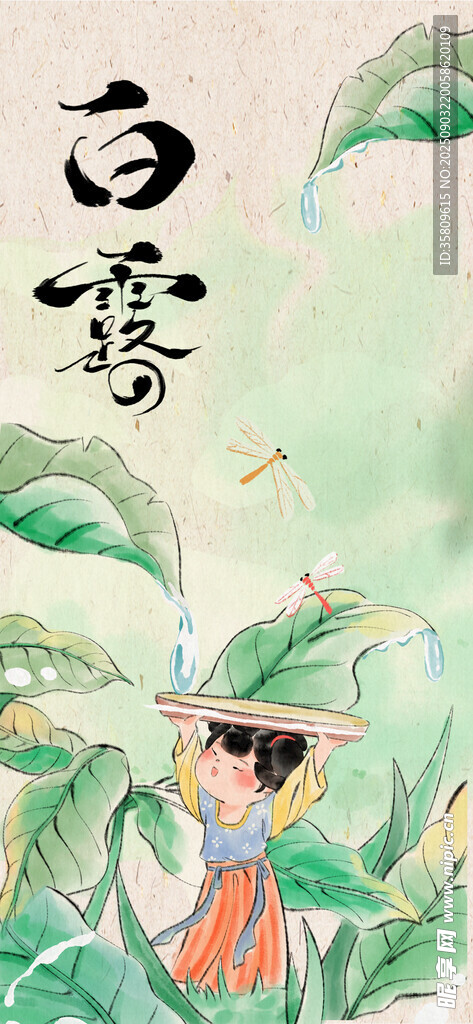 白露时节古风少女赏景