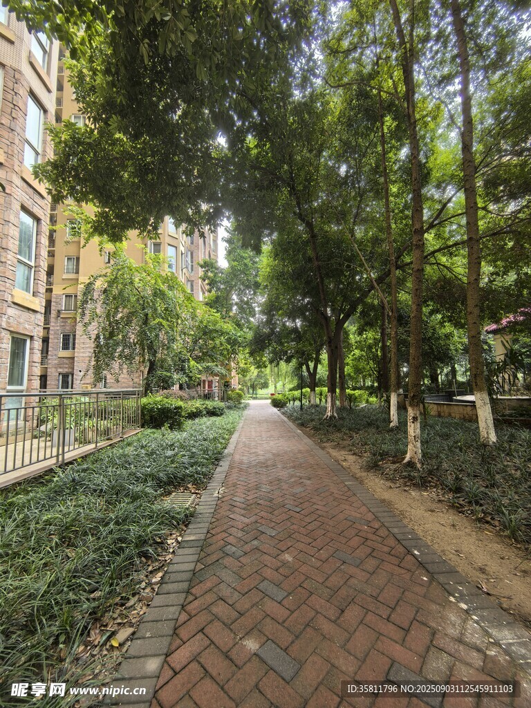 小区内幽静的砖石林荫小道