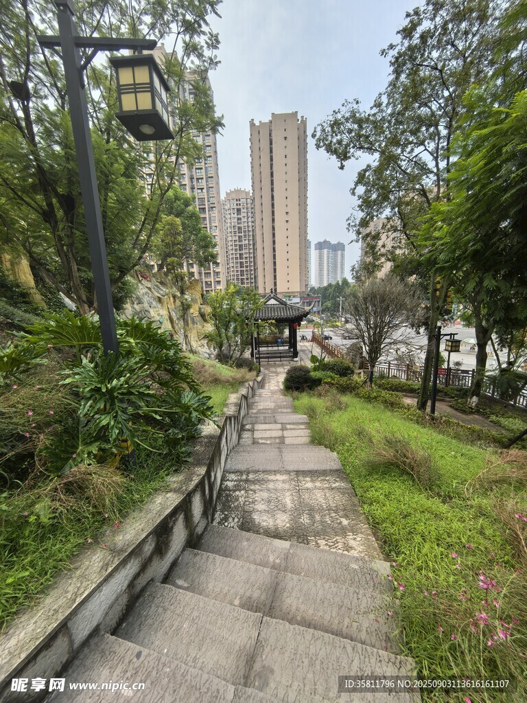城市中幽静的林间石板小径