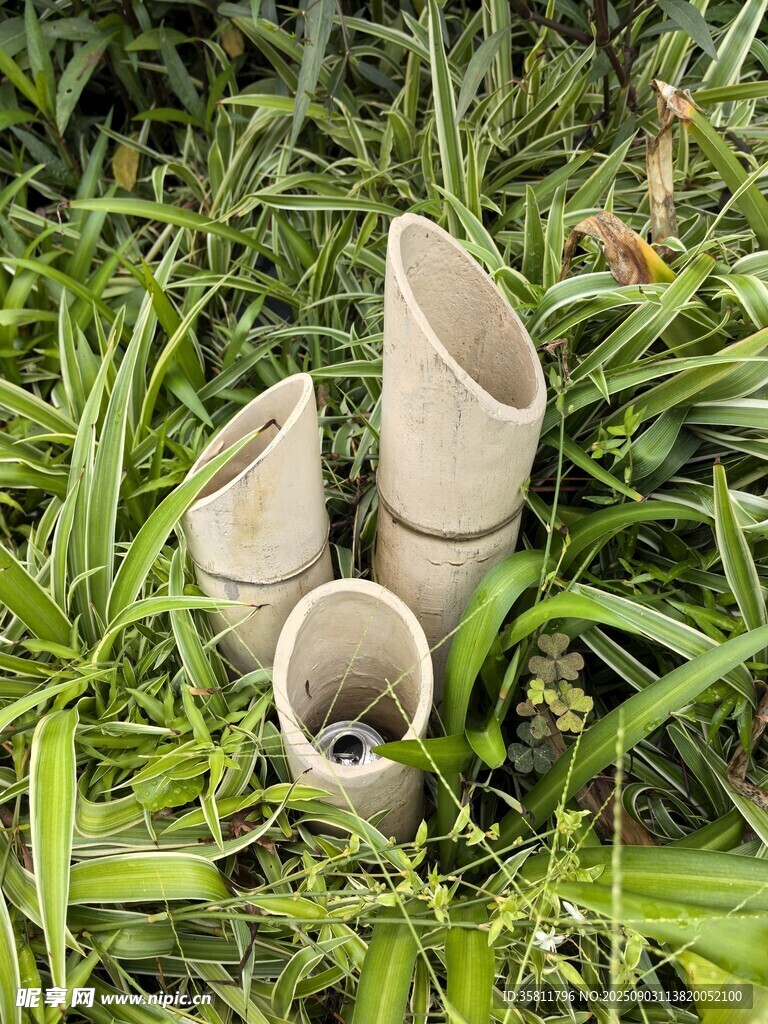 草丛中的竹子管状物品