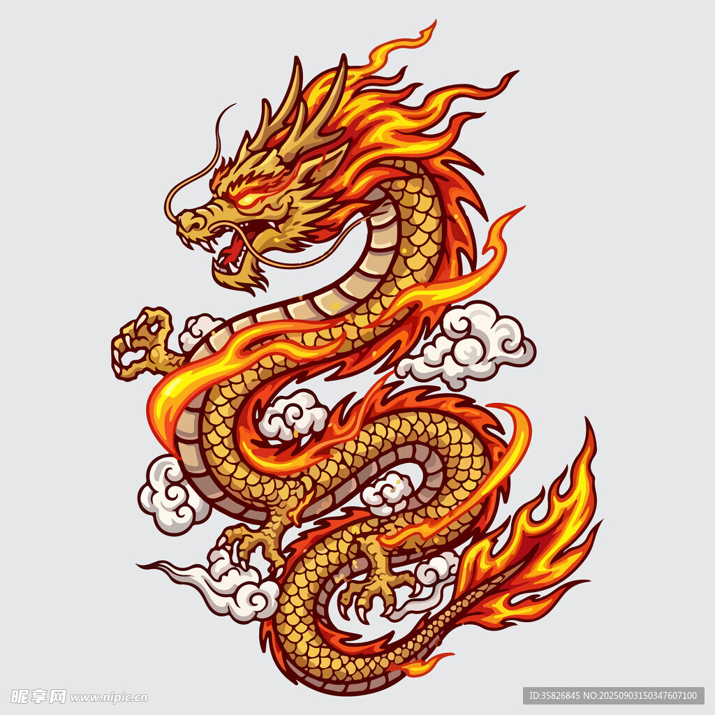 龙图案
