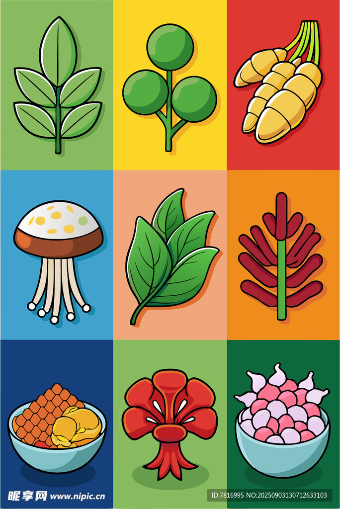 多彩植物与食物插画