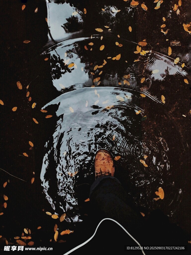 水面涟漪中的光影景象