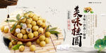 美味桂圆养生食品宣传海报