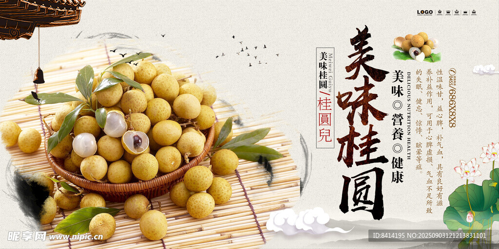 美味桂圆养生食品宣传海报