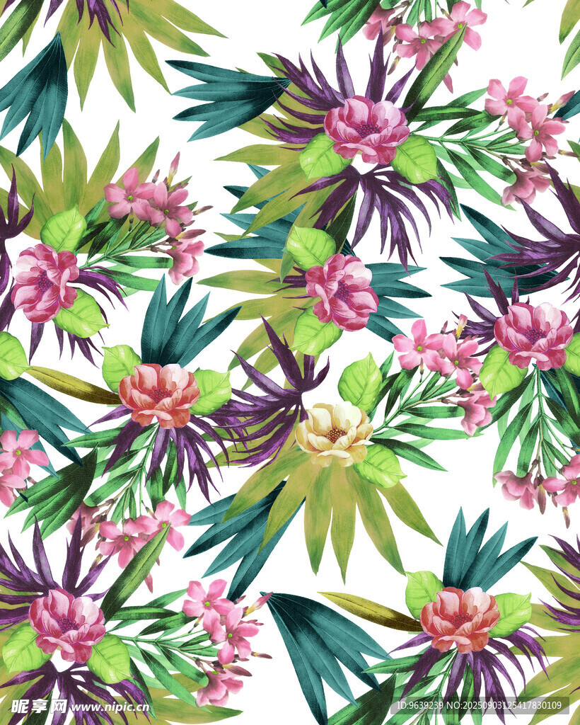 热带花卉