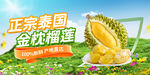 金枕榴莲