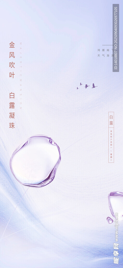 白露海报