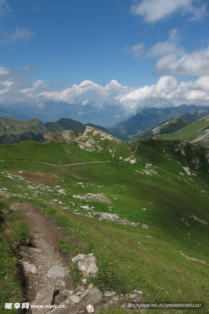 高山草甸美景