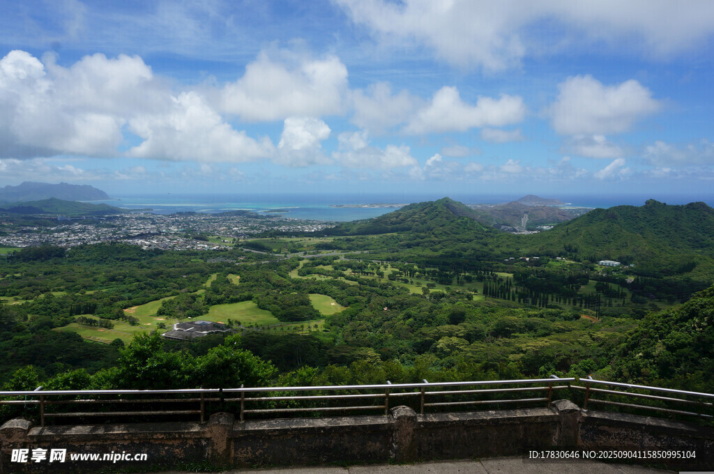 俯瞰绿意盎然的山海美景