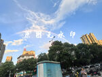 城市蓝天绿树中的雨后彩虹
