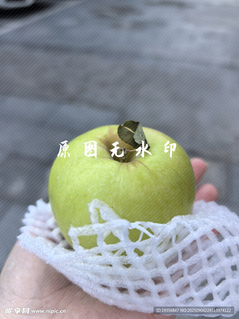 手捧网套包裹的青苹果