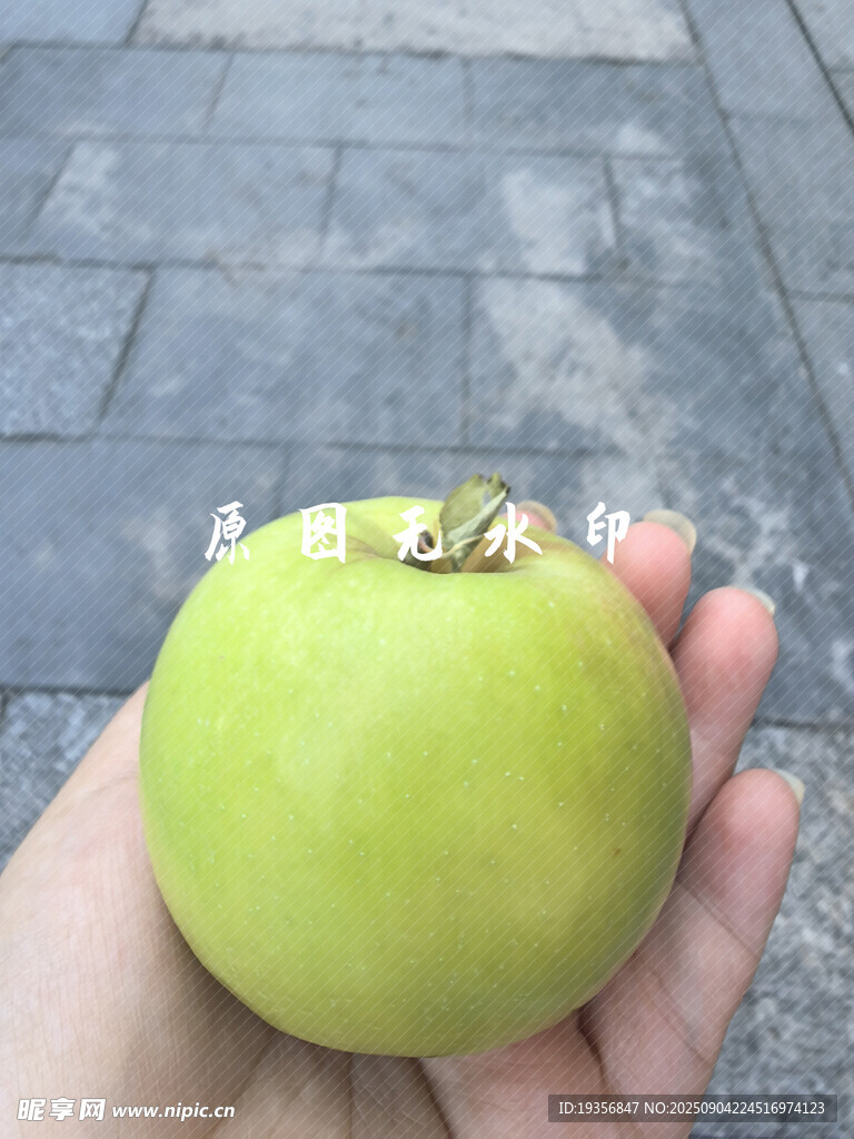 青苹果