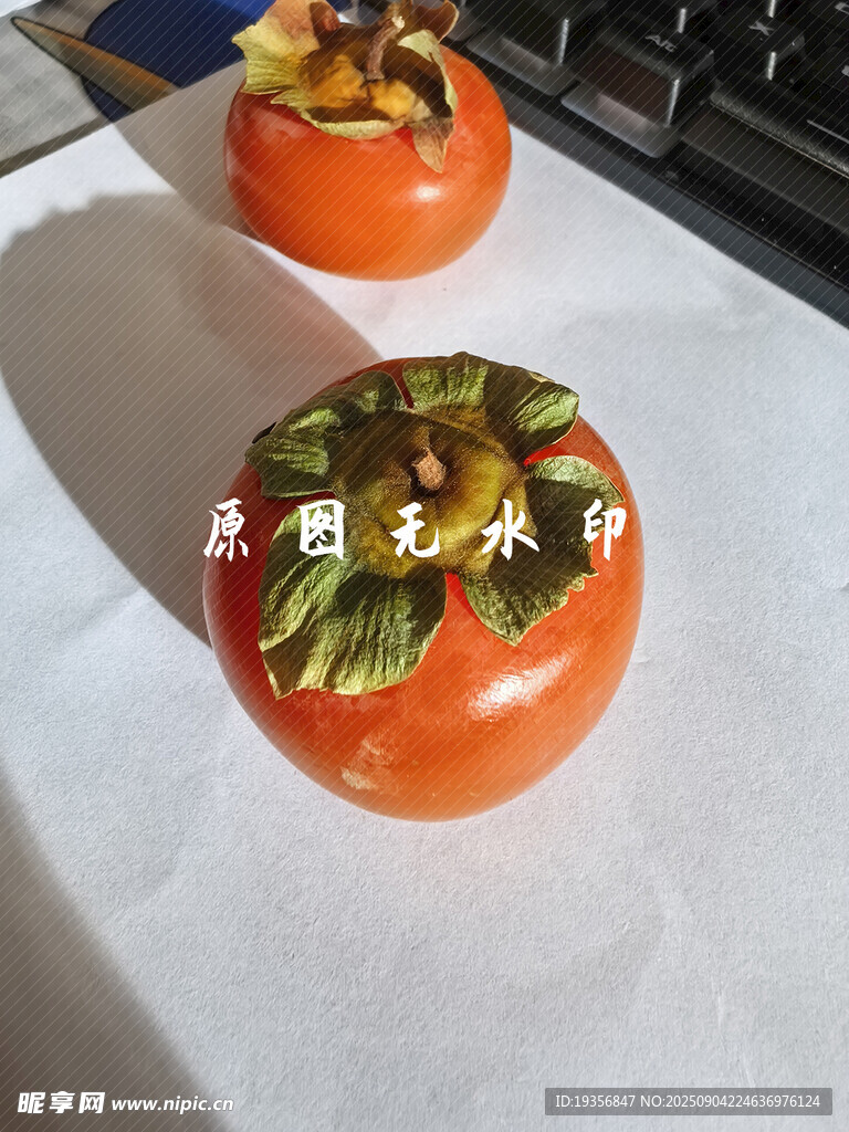 两个带叶柿子