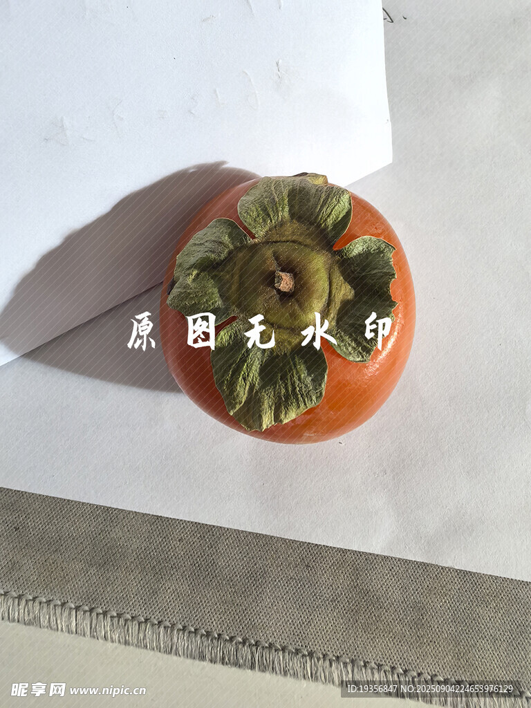 橙红柿子特写