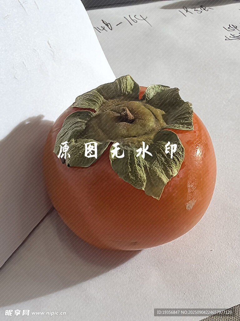 柿子