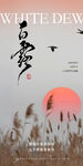 白露节气