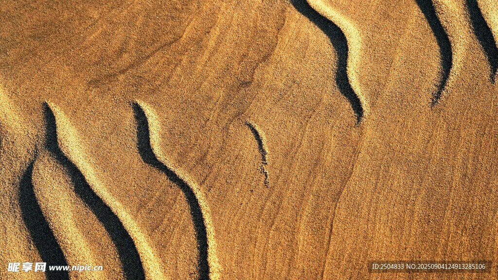   波纹景观