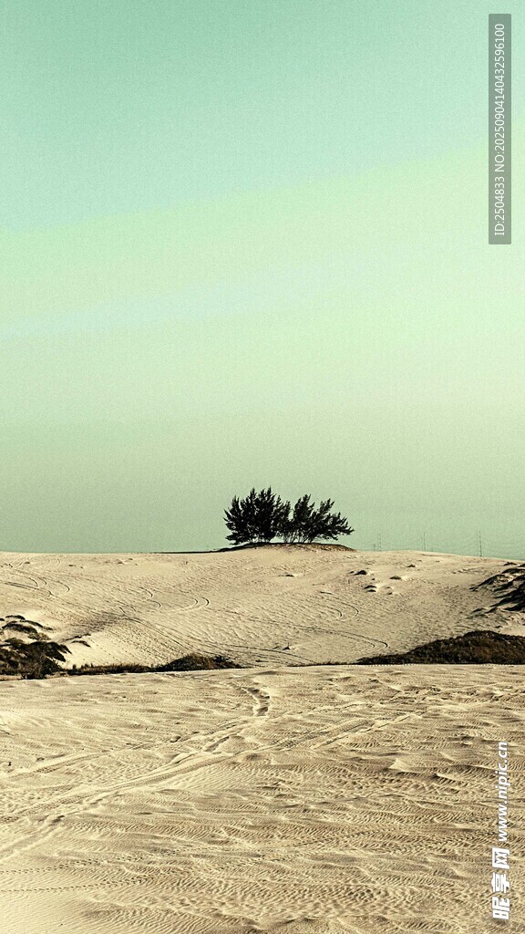   孤景