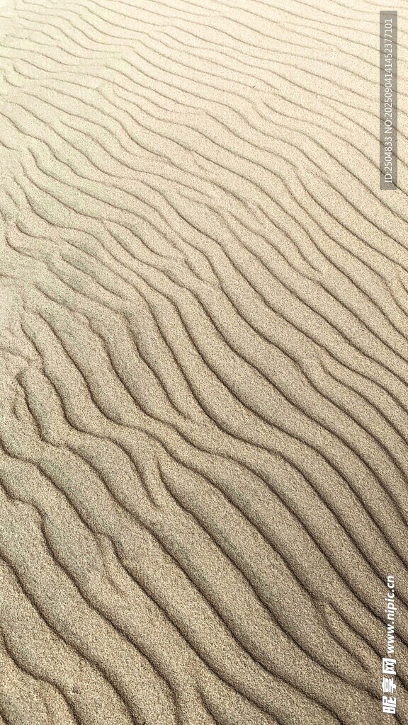  漠纹理 细腻沙浪景 