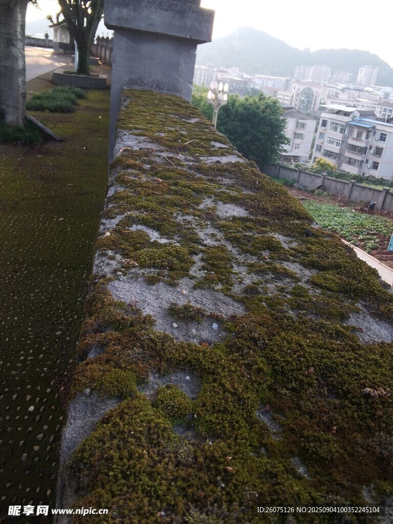 护栏上的苔藓景观