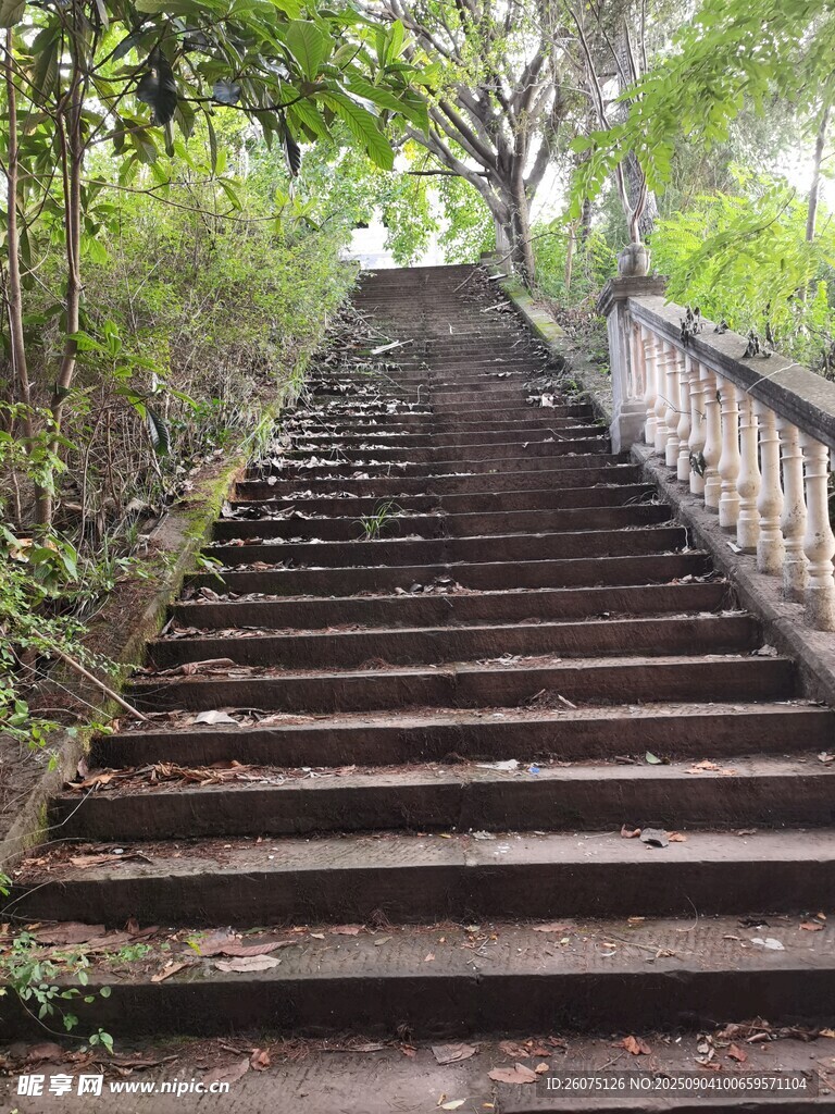 林间石阶