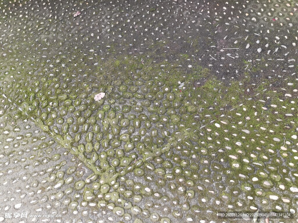 斑驳青苔碎石步道