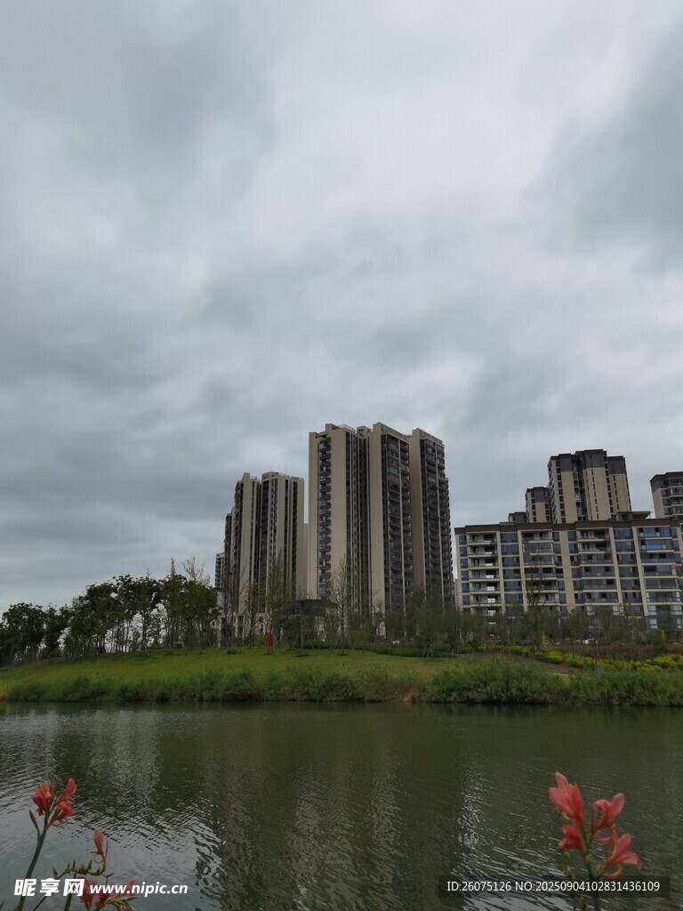 湖畔高楼与绿植景观