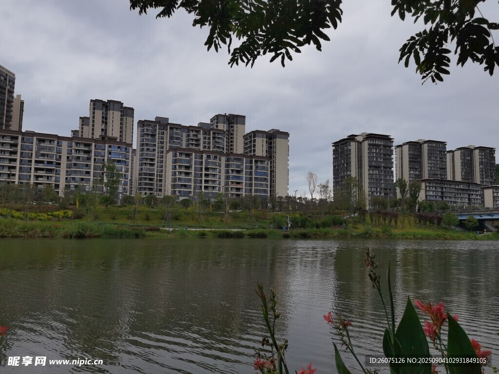 湖畔高楼景观