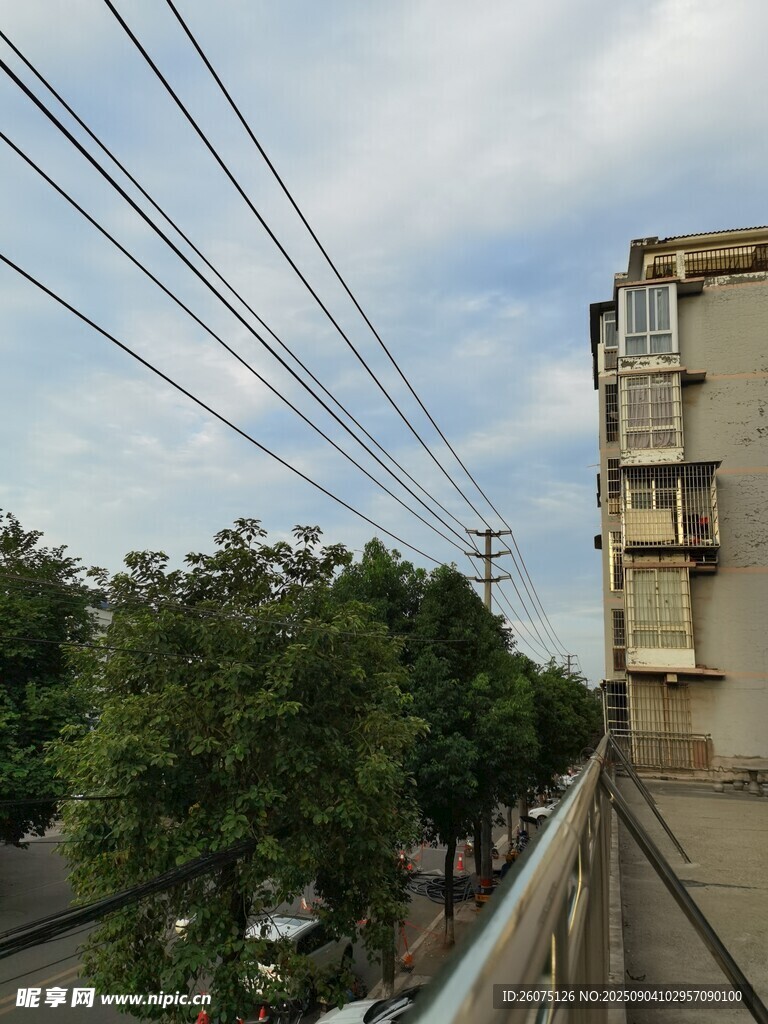 围栏旁的楼房与绿树