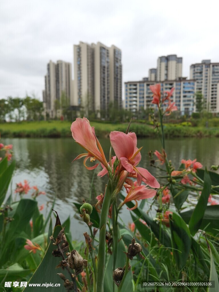 湖畔繁花与城市建筑美景