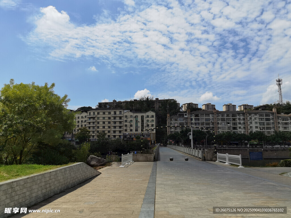 城市道路与远处桥梁建筑风景