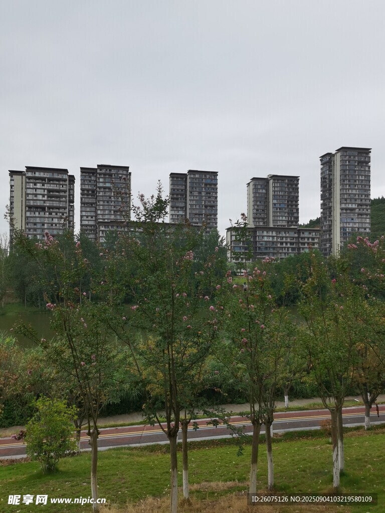 城市旁绿意盎然的公园景观