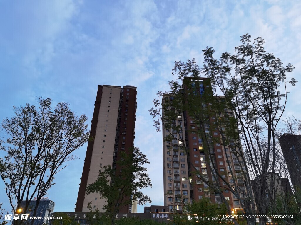 夜幕中的城市高楼与树木景观