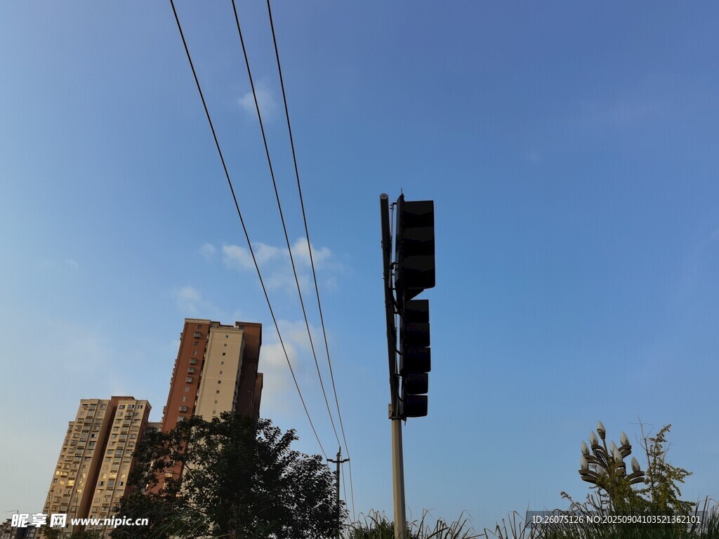 城市中电线杆与高楼景观