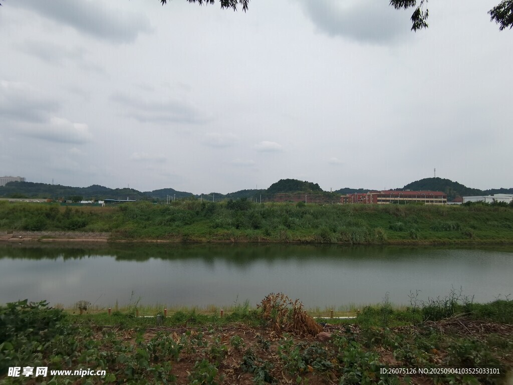 湖畔自然风光