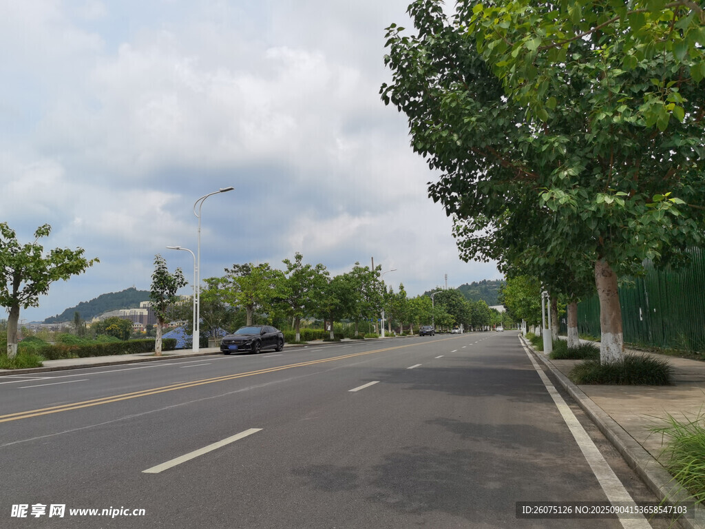 宽阔道路旁绿树成荫