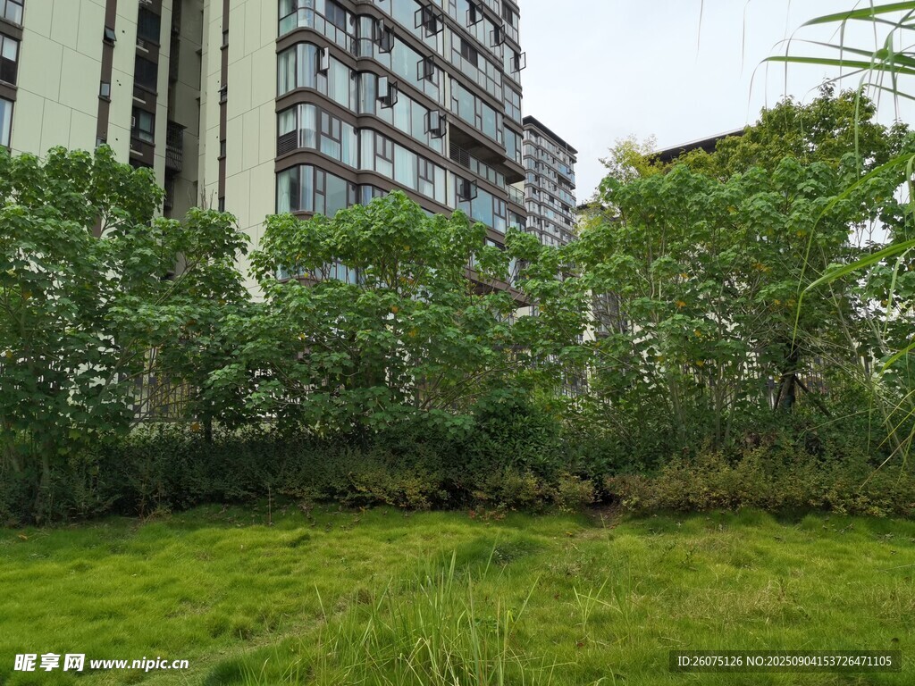小区绿植环绕的草地景观