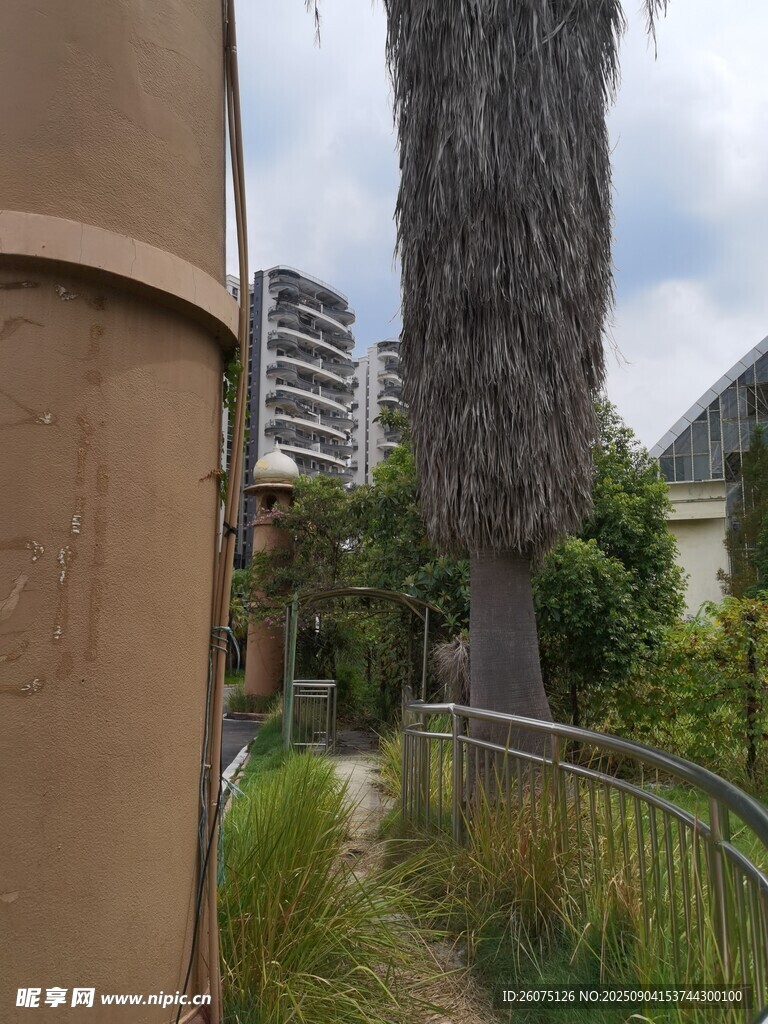户外庭院绿植景观小路