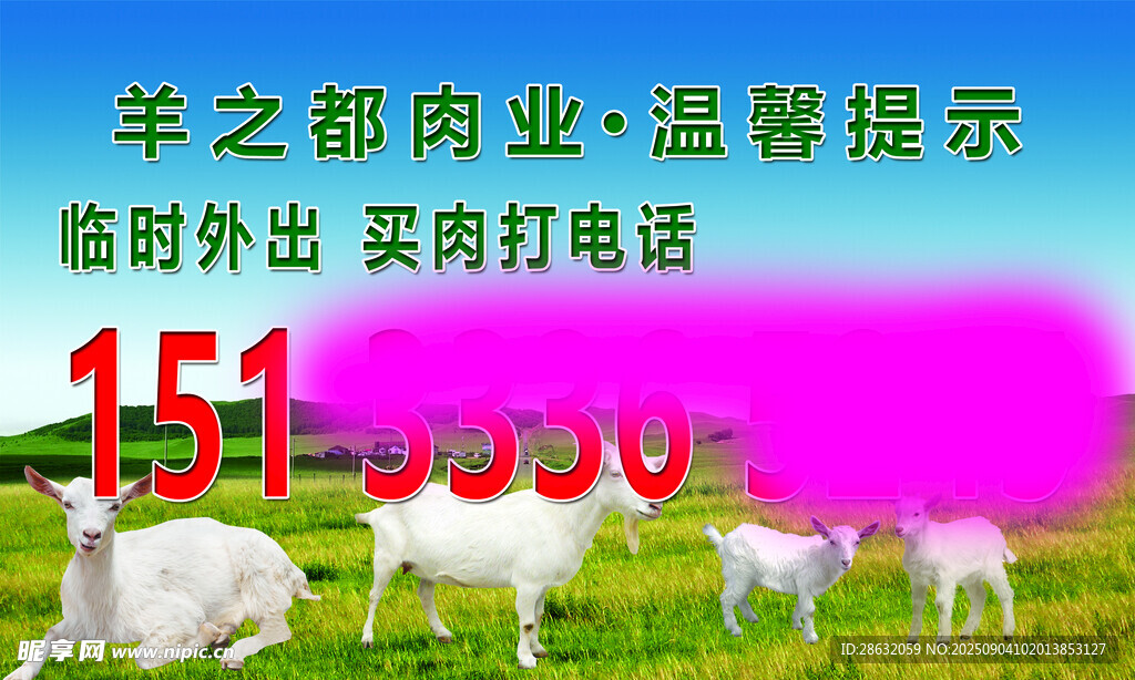 草原羊