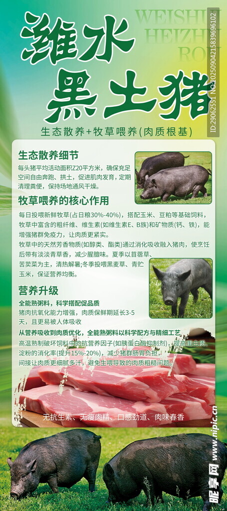 潍水农家黑土猪介绍展架